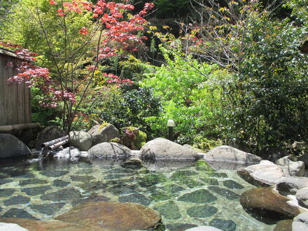 宝泉寺温泉　旅館　えび亭 写真
