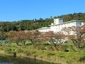 白石温泉薬師の湯 写真