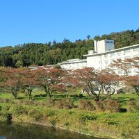 白石温泉薬師の湯 写真