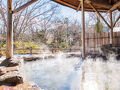 仙台 秋保温泉 ホテル華乃湯 別館 簾 写真