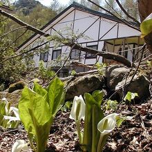 写真：楽天トラベル