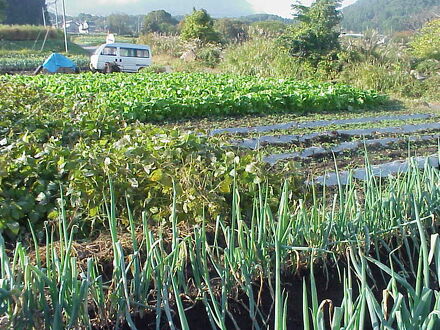 ペンション　童夢 写真