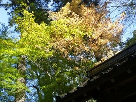 旅のあしあと 写真