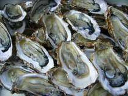 別館まつむら 写真