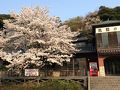風蘭の館 写真