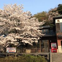 風蘭の館 写真