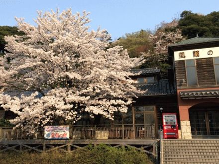 風蘭の館 写真