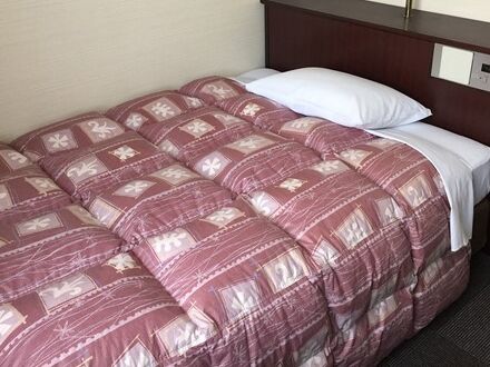 ホテル タウン錦川 写真