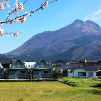 由布院温泉 8A1(やえいち) 写真