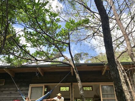 やんばる野草の宿 写真