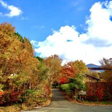 写真：楽天トラベル