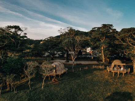ASOHIMA PICNIC CLUB FOREST CAMP AREA 写真