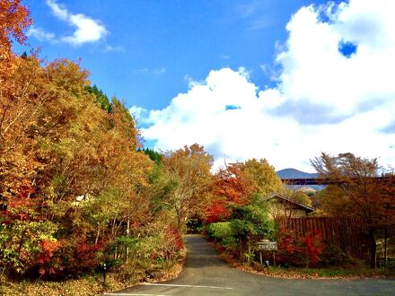 守護陣温泉 写真