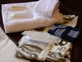 しらびそ高原天の川 写真