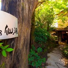 写真：楽天トラベル