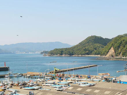 竜宮料理の宿　八島(やしま） 写真