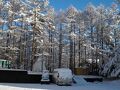 草津高原ユースホステル 写真