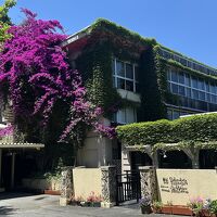 ペットと泊まれる森のホテル ホテル四季の蔵 写真