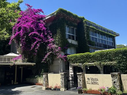 ペットと泊まれる森のホテル ホテル四季の蔵 写真