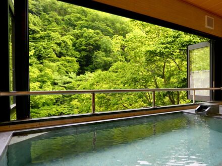 松川渓谷に佇む宿　信州山田温泉　山田館 写真