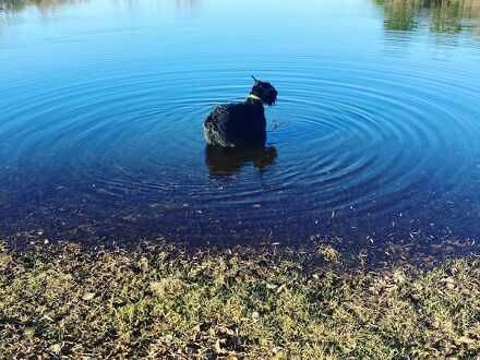 工房とお宿クレインズ 写真