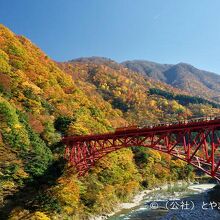 写真：楽天トラベル