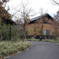 麻生釣温泉　亀山の湯・宿 写真