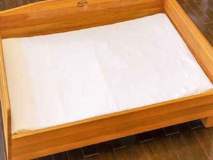 フォレストヴィレッジ 写真