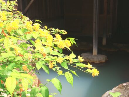 奥飛騨 平湯温泉 湯の平館 写真
