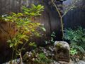 紡 七条堀川 写真