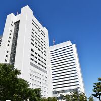 ベイサイドホテル　アジュール竹芝 浜松町