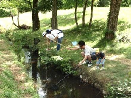 裏磐梯ペンションやまびこの宿泊予約なら フォートラベル の格安料金比較 裏磐梯 猫魔