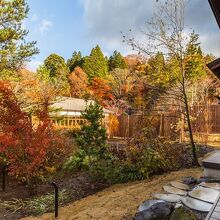 写真：楽天トラベル