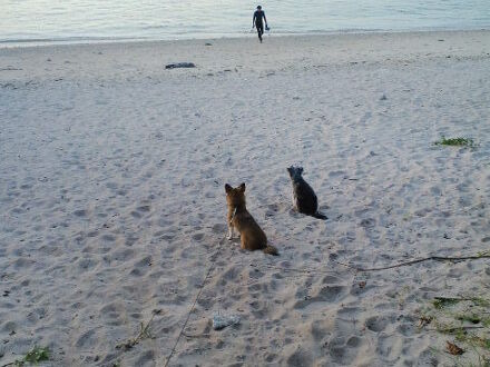 ゆがふ 川平 ＜石垣島＞ 写真