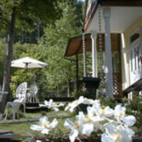 だんでらいおん 写真