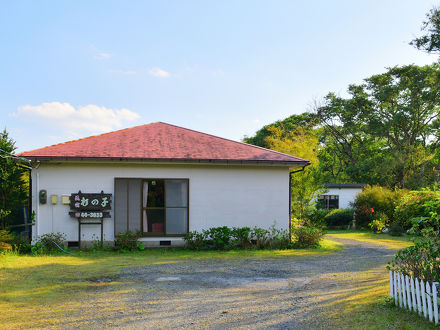 屋久島 民宿すぎのこ 写真