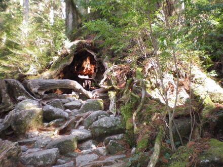 民宿　山水 写真