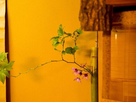 離れ家式和風旅館 山家荘 写真