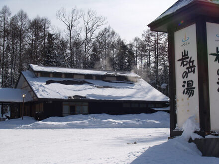 Hakuba Iwatake Apartments 写真