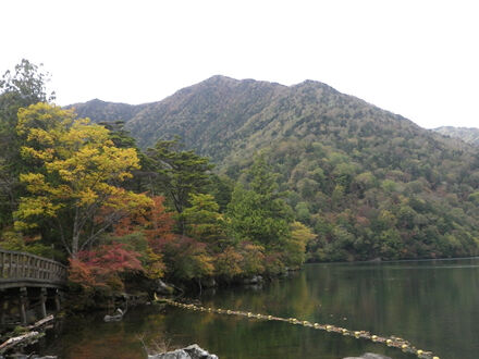 奥日光 湯元温泉 紫雲荘 写真
