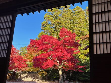 天徳院 写真