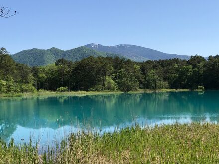 裏磐梯高原 ペンション楓 (かえで) 写真