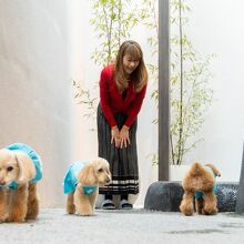 写真：楽天トラベル
