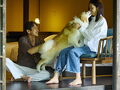 愛犬と泊まれる古民家リトリート 赤城山 -懐- 写真