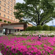 写真：楽天トラベル