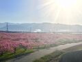 日の出温泉 写真