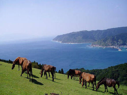 都井岬　国民宿舎 写真