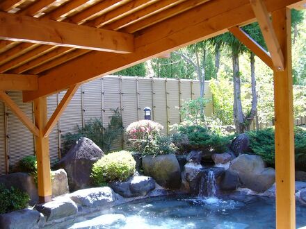 ホテル八峯苑 鹿の湯 写真