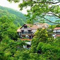 天城湯ヶ島温泉 白壁 写真