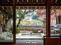 若松 箱根湯河原 写真